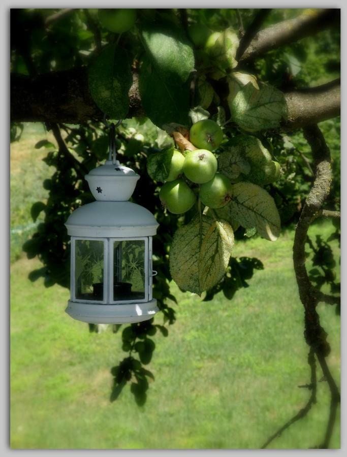 Bed and Breakfast Cascina Luvot Мелаццо Экстерьер фото