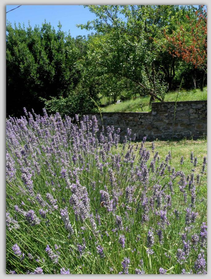 Bed and Breakfast Cascina Luvot Мелаццо Экстерьер фото